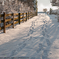 Buy canvas prints of Footsteps in the Snow by Philip Baines