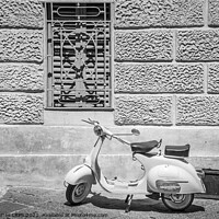 Buy canvas prints of Siena Vespa Scooter by Philip Baines