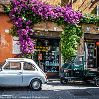 Buy canvas prints of Bougainvillea in Old Rome by Philip Baines