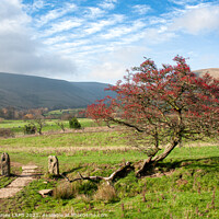 Buy canvas prints of The path to Barber Booth from Edale by Philip Baines