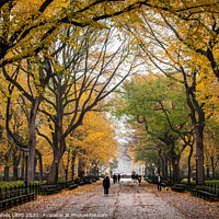 Buy canvas prints of Central Park's Mall and Literary Walk by Philip Baines