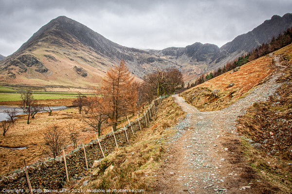 Buttermere looking to Fleetwith Pike Picture Board by Philip Baines