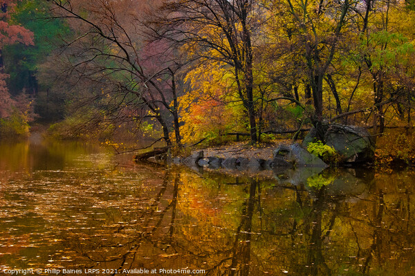 Reflections of Central Park Picture Board by Philip Baines