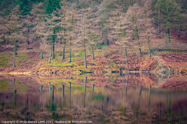 Reflections on Derwent Reservoir Picture Board by Philip Baines