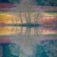 Buy canvas prints of Reflections on Derwent Reservoir by Philip Baines