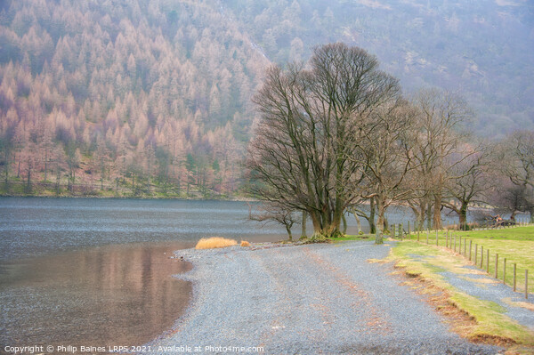 Lakeside at Buttermere Picture Board by Philip Baines