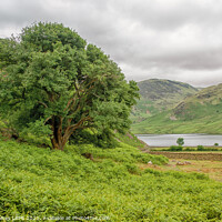 Buy canvas prints of Crummock Water from Rannerdale Knotts by Philip Baines
