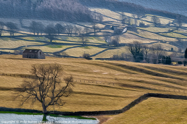 Yorkshire Dales near Appletreewick Picture Board by Philip Baines