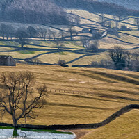 Buy canvas prints of Yorkshire Dales near Appletreewick by Philip Baines