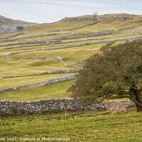 Buy canvas prints of Malhamdale by Philip Baines