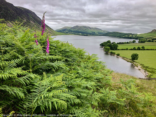 Crummock Water Picture Board by Philip Baines