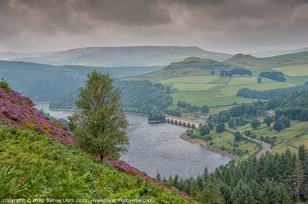 Ladybower Reservoir Picture Board by Philip Baines