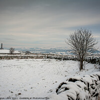Buy canvas prints of Winter on Werneth Low by Philip Baines