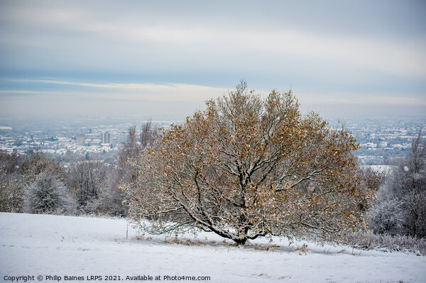 Werneth Low in Winter Picture Board by Philip Baines