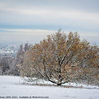 Buy canvas prints of Werneth Low in Winter by Philip Baines