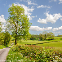 Buy canvas prints of Countryside near Coppice Howe by Philip Baines