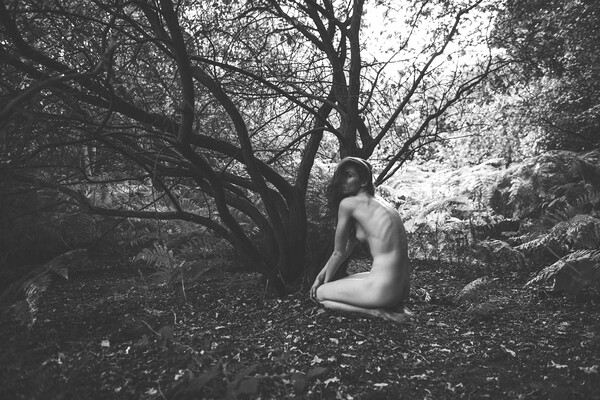 Hiraeth 152 Suzzi - Landscape Art Nude  Picture Board by Henry Clayton