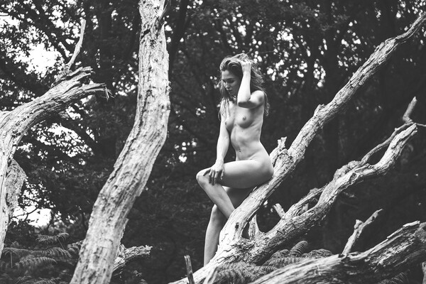 Hiraeth 115 Suzzi - Landscape Art Nude  Picture Board by Henry Clayton