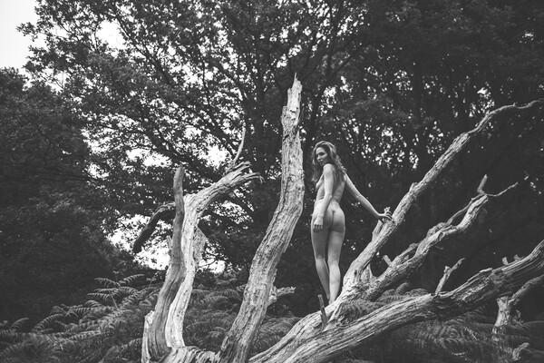 Hiraeth 109 Suzzi - Landscape Art Nude  Picture Board by Henry Clayton