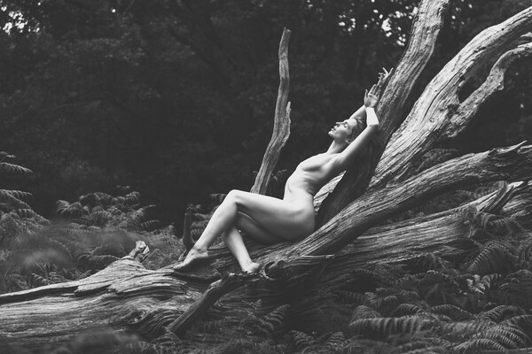 Hiraeth 90 Suzzi - Landscape Art Nude  Picture Board by Henry Clayton
