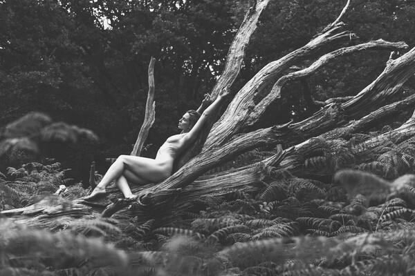 Hiraeth 88 Suzzi - Landscape Art Nude  Picture Board by Henry Clayton