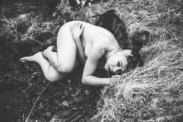 Hiraeth 006 Valentina L'Abbate - Landscape Art Nude  Picture Board by Henry Clayton