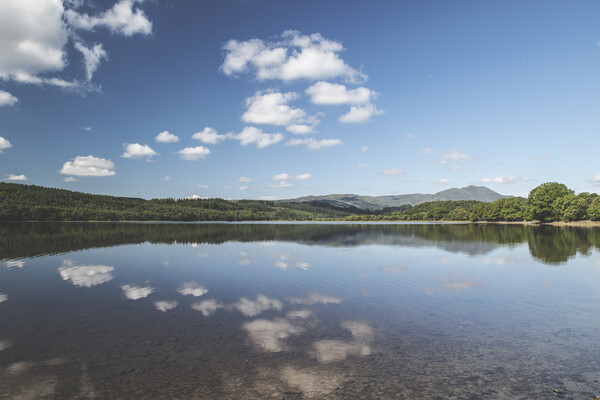 Loch Ard - Scotland Landscape Photography Picture Board by Henry Clayton