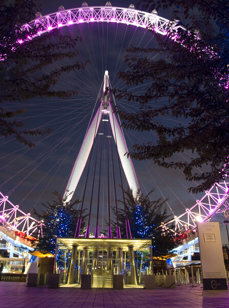 London Eye at Night - Cityscapes Photography Picture Board by Henry Clayton