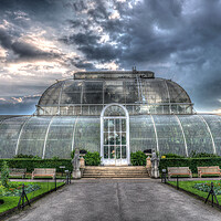 Buy canvas prints of Key Gardens Palm House - Architecture by Henry Clayton