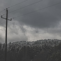 Buy canvas prints of Frozen Forest - Zwyec Winter #7 by Henry Clayton