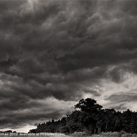 Buy canvas prints of Storm Warning by Paul Holman Photography