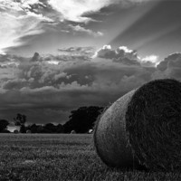 Buy canvas prints of Harvest time by Paul Holman Photography