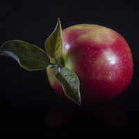 Buy canvas prints of An Apple a Day by Paul Holman Photography