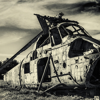 Buy canvas prints of Westland Wessex by Paul Holman Photography