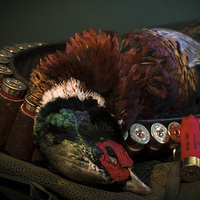 Buy canvas prints of Pheasant Shoot by Paul Holman Photography