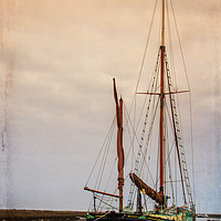 Buy canvas prints of Juno II by Paul Holman Photography