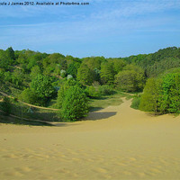 Buy canvas prints of Merthyr Mawr Sand Dunes by Paula J James