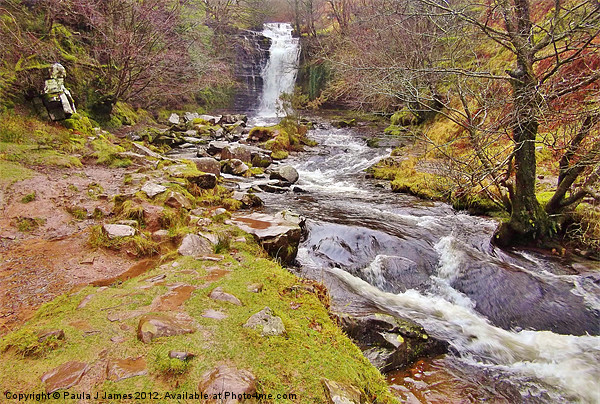 Caerfanell Falls on New Years Eve Picture Board by Paula J James