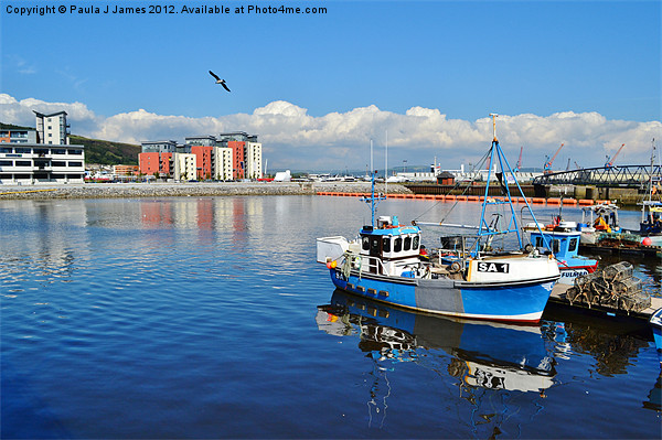 Swansea Marina Picture Board by Paula J James