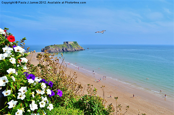 Castle Beach & St Catherine's Island, Tenby Picture Board by Paula J James