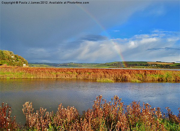 Rainbow over the Taf Estuary Picture Board by Paula J James