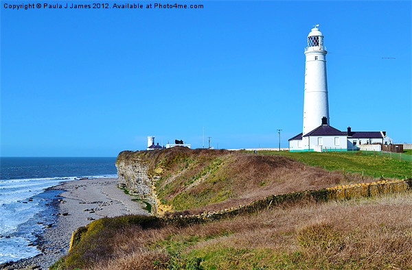 Nash Point Lighthouse Picture Board by Paula J James