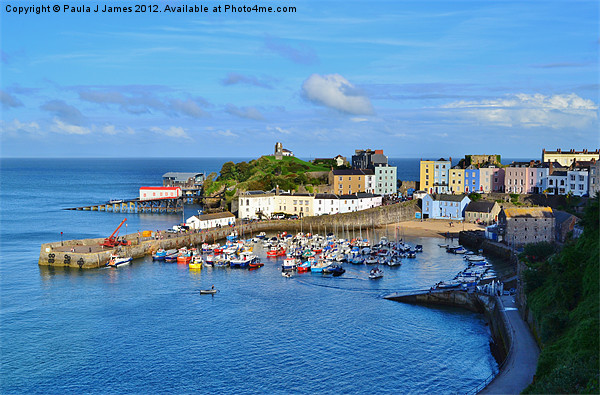Tenby Harbour Picture Board by Paula J James