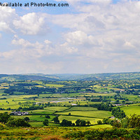 Buy canvas prints of Towy Valley by Paula J James