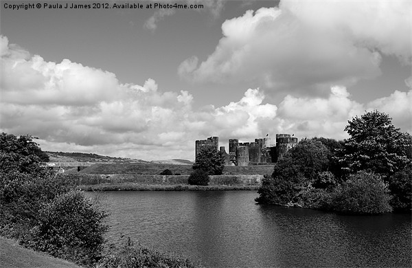 Caerphilly Castle Picture Board by Paula J James