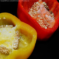 Buy canvas prints of Peppers by Paula J James