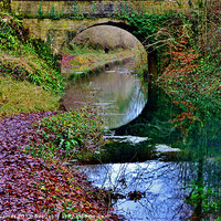 Buy canvas prints of Thames & Severn Canal by Paula J James