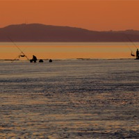 Buy canvas prints of Fishing at Sunset by Paula J James