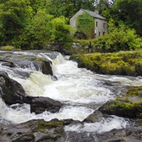 Buy canvas prints of Cenarth Falls & Mill by Paula J James