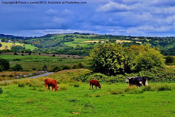 Llantrisant Common Picture Board by Paula J James